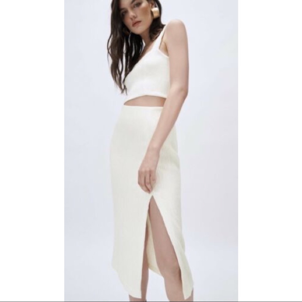 Zara Wrinkled Look Fitted Skirt and Top (set)